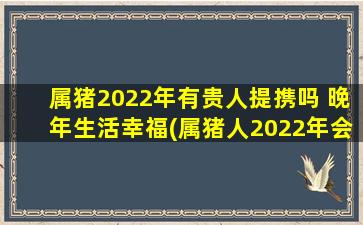 属猪2022年有贵人提携吗 晚年生活幸福(属猪人2022年会有贵人提携吗？晚年生活是否幸福？)